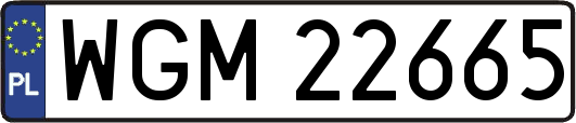 WGM22665