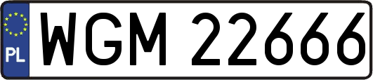 WGM22666