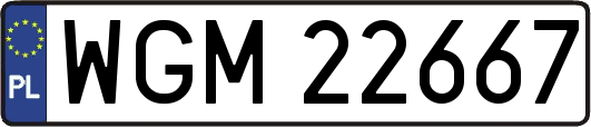 WGM22667