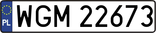 WGM22673