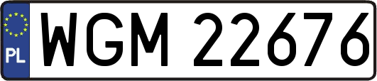 WGM22676