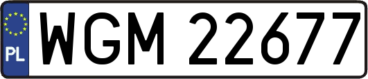 WGM22677