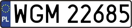 WGM22685