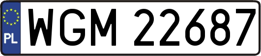 WGM22687