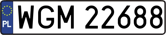WGM22688