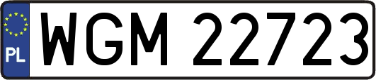 WGM22723