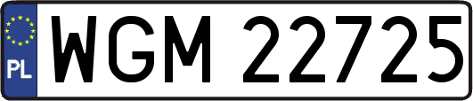 WGM22725