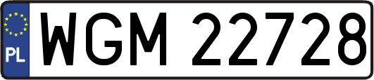 WGM22728