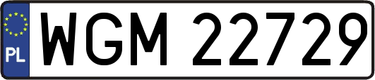 WGM22729