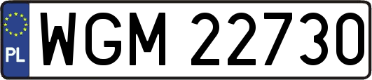 WGM22730