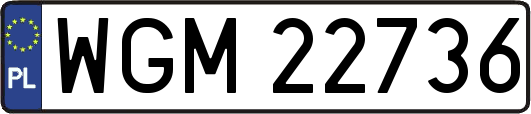 WGM22736