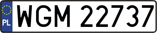 WGM22737