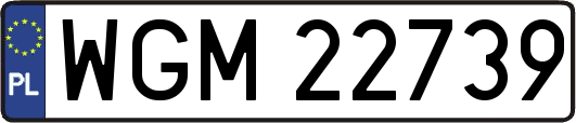 WGM22739