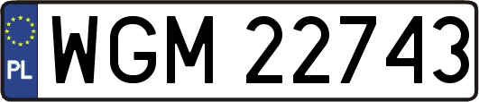 WGM22743