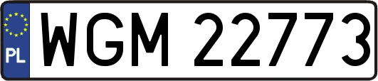 WGM22773