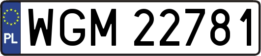 WGM22781