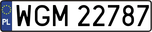 WGM22787