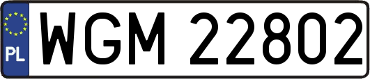 WGM22802