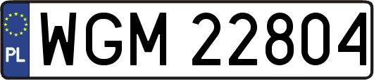 WGM22804