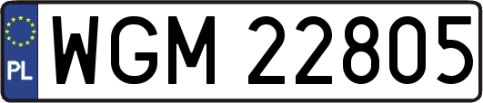 WGM22805