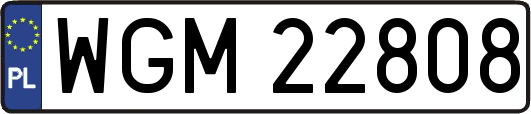 WGM22808