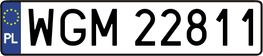 WGM22811
