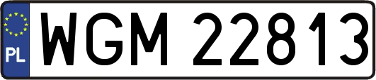WGM22813