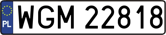 WGM22818