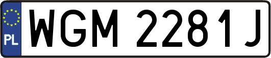WGM2281J