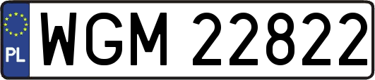 WGM22822