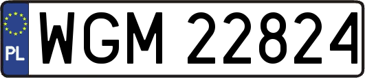 WGM22824