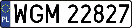 WGM22827