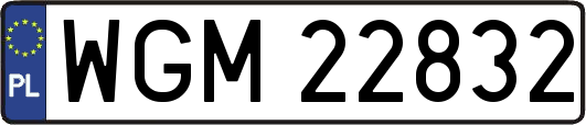 WGM22832