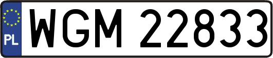 WGM22833
