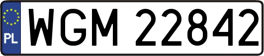 WGM22842