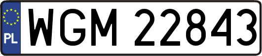 WGM22843