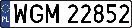 WGM22852