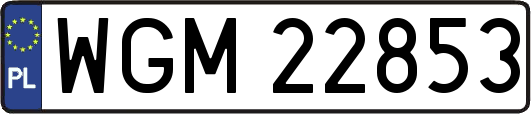 WGM22853