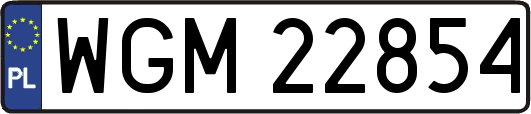 WGM22854