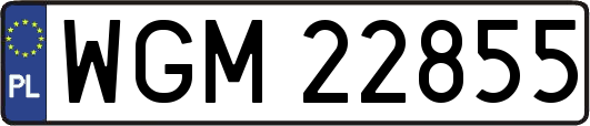 WGM22855