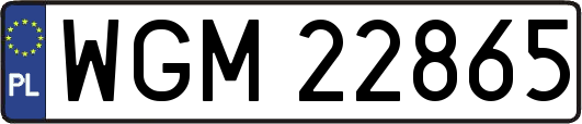 WGM22865