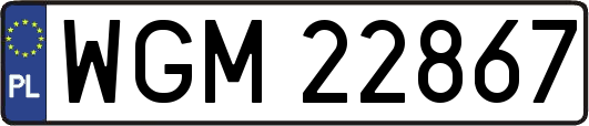 WGM22867