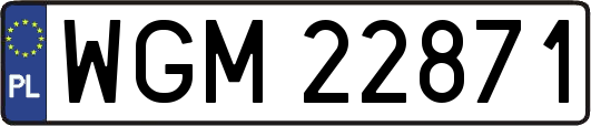 WGM22871
