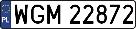 WGM22872