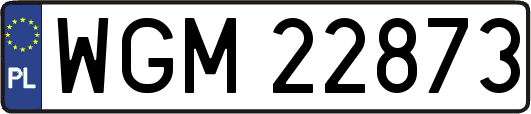 WGM22873