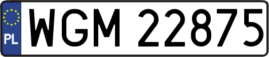 WGM22875