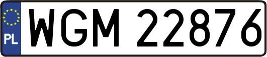 WGM22876