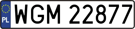 WGM22877