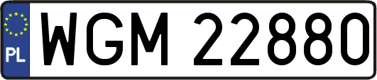 WGM22880