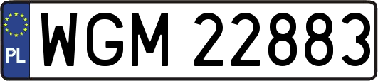 WGM22883